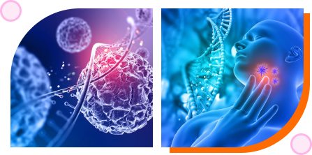 Hormones and endocrinology-inner