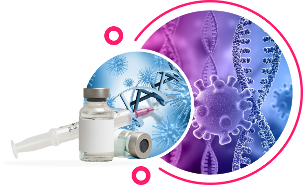 Monoclonal antibodies-inner2