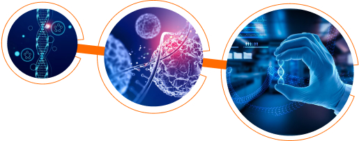 Nanomedicine-inner